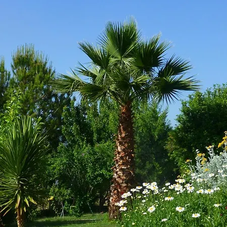 Vendégház Mountain 3*